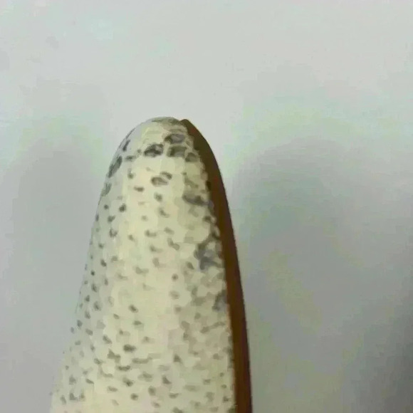 COLE HAAN The Go-to Wedge Chalk Python Snake  Print- Size 8.5 - Picture 10 of 16